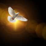 Holy Ghost Speaks
